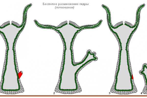 Как вывести с кракена