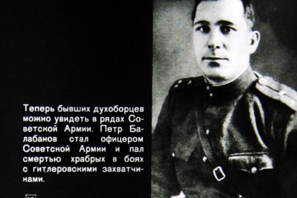 Кракен 16 даркнет продаж