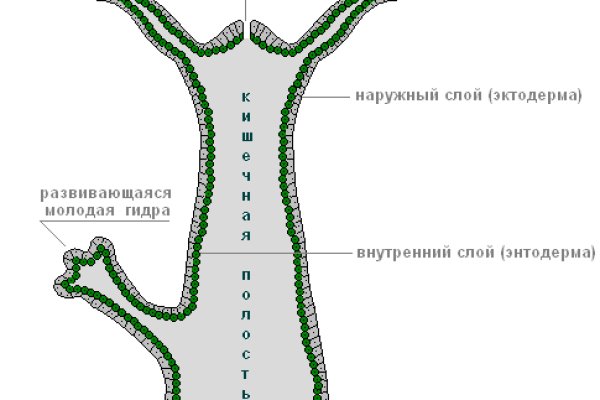 Как восстановить пароль на кракене