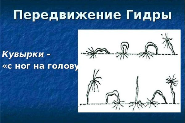 Кракен это гидра